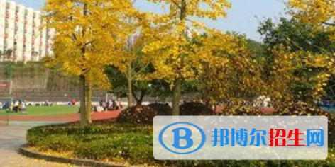 四川育英醫(yī)養(yǎng)科技技工學(xué)校怎么樣、好不好