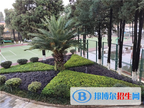 云南省昭通市鎮(zhèn)雄縣職業(yè)高級(jí)中學(xué)2021年有哪些專(zhuān)業(yè)