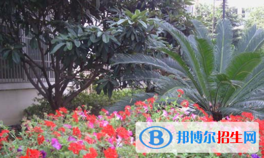 臨泉縣靖波信息技術(shù)學(xué)校怎么樣、好不好