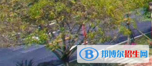四川2021年中?？梢钥际裁醋C