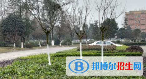 四川2021年電子商務(wù)學(xué)校哪家好