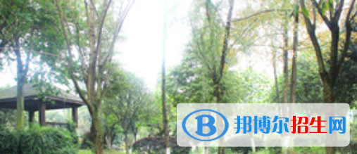 成都2021年初中生可以讀護(hù)理學(xué)校嗎