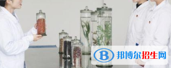 成都2021年讀護(hù)理學(xué)校有什么專業(yè)