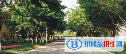 四川2022年計算機學(xué)校畢業(yè)是什么學(xué)歷