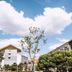 江蘇2022年中專鐵路學(xué)?？梢钥即髮? width=