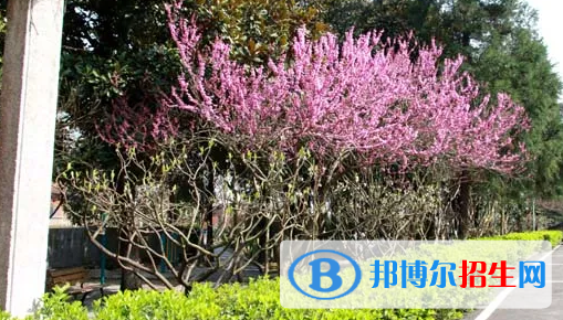 貴陽(yáng)2022年男生上什么中專好