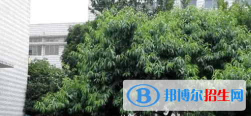 成都2022年哪所計算機學校比較好就業(yè)