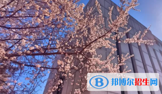 貴陽2022年中專要讀幾年