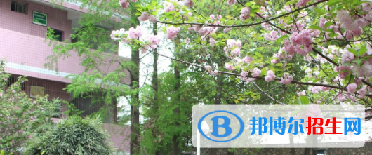 雙流縣建設(shè)職業(yè)技術(shù)學(xué)校2022年招生錄取分?jǐn)?shù)線