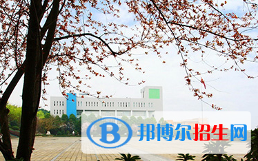 四川省藏文學(xué)校2022年招生簡(jiǎn)章