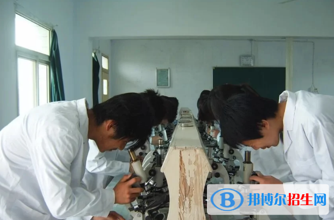 西安育才醫(yī)科職業(yè)學(xué)校怎么樣、好不好