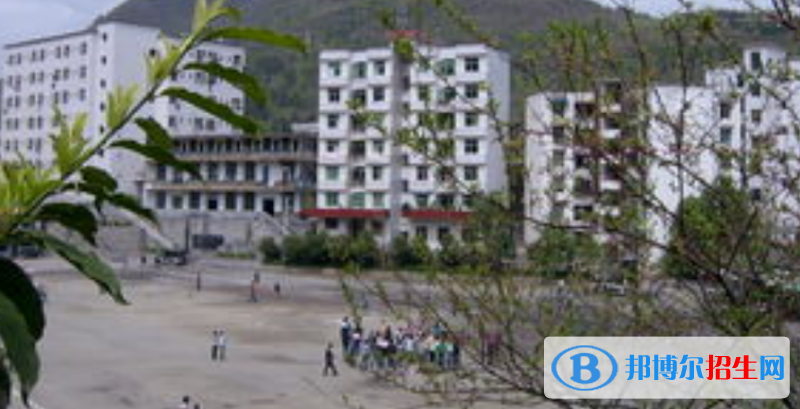 學校一交