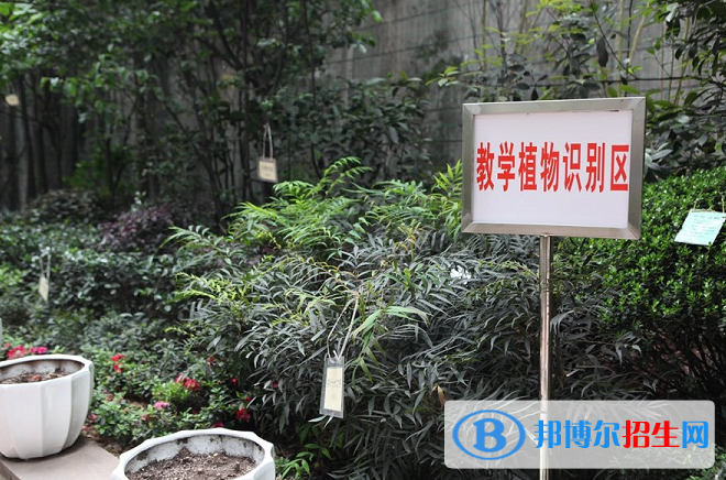 重慶園林技工學(xué)校怎么樣、好不好
