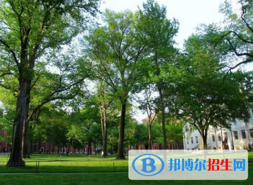 武強綜合職業(yè)技術教育中心2022年招生辦聯(lián)系電話