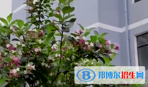  貴州地質(zhì)學(xué)校2022年招生錄取分數(shù)線