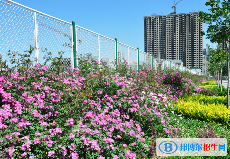 石家莊現(xiàn)代經(jīng)貿(mào)中等專(zhuān)業(yè)學(xué)校怎么樣、好不好