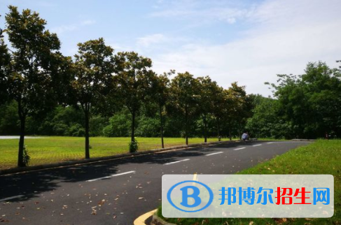 襄陽護士學校