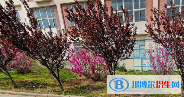 青島市石化高級(jí)技工學(xué)校怎么樣、好不好