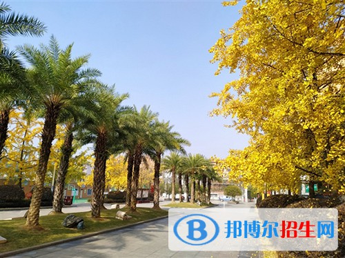 自貢匯東實(shí)驗(yàn)學(xué)校2022年招生代碼