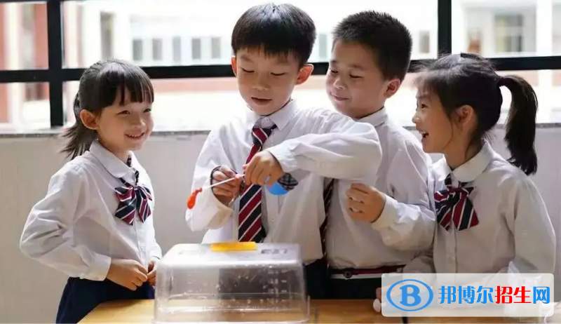 廣東碧桂園(IB國際)學(xué)校2022年課程體系