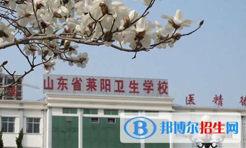 萊陽市衛(wèi)生學(xué)校2022年怎么樣、好不好