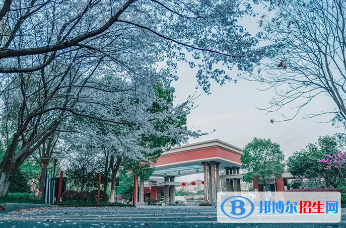 杭州英特外國語學校怎么樣