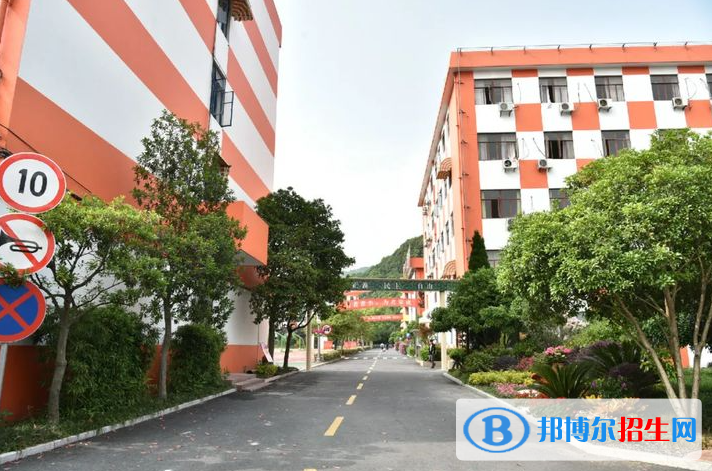 杭州國(guó)際學(xué)校2022年課程體系