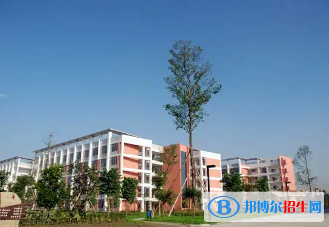 樹(shù)德中學(xué)國(guó)際部2022年招生政策
