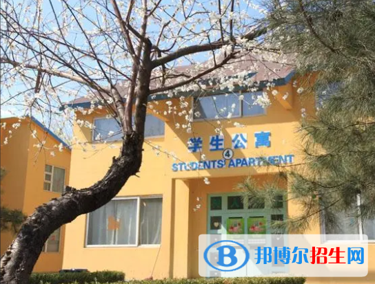 北京私立樹人瑞貝學(xué)校初中部2023年入學(xué)條件