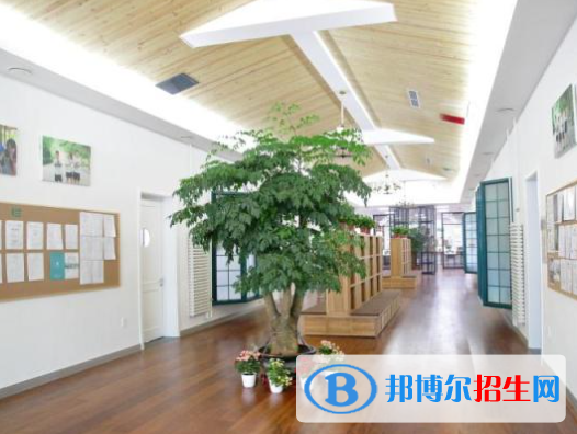 北京私立樹人瑞貝學校初中部2023年報名時間