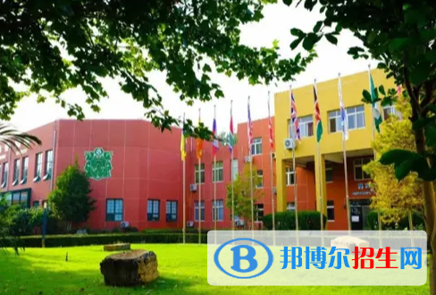 北京私立樹人瑞貝學校初中部2023年招生政策