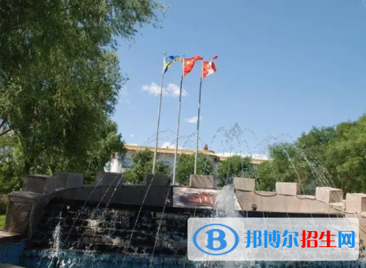 北京私立樹人瑞貝學校初中部2023年課程體系