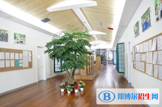 北京私立樹人瑞貝學(xué)校小學(xué)部2023年入學(xué)條件