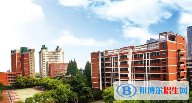 武漢二中國(guó)際部2023年學(xué)費(fèi)標(biāo)準(zhǔn)