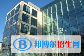 佛山協(xié)同國際學(xué)校2023年課程體系2
