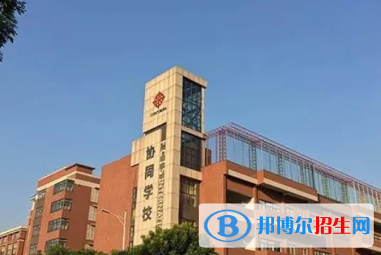 佛山協(xié)同國際學(xué)校小學(xué)部2023年入學(xué)條件