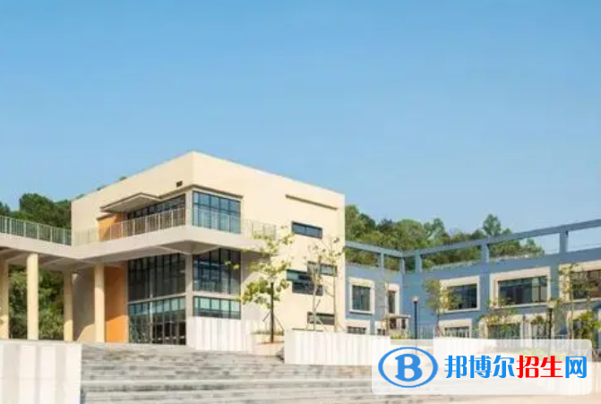 佛山協(xié)同國際學校小學部2023年入學考試2