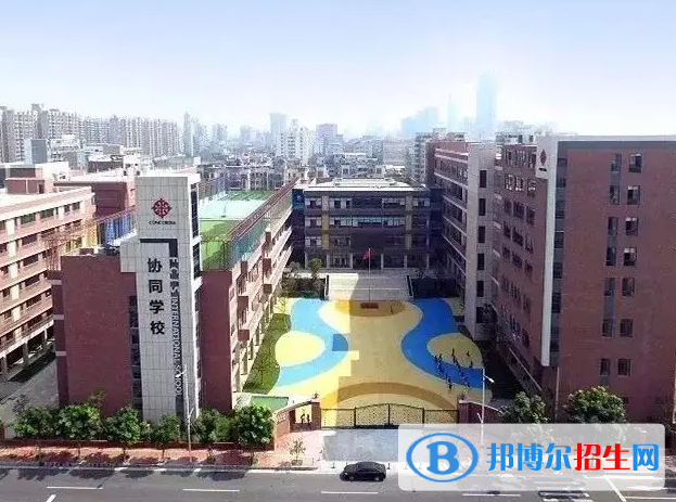 佛山協(xié)同國際學校小學部怎么樣2