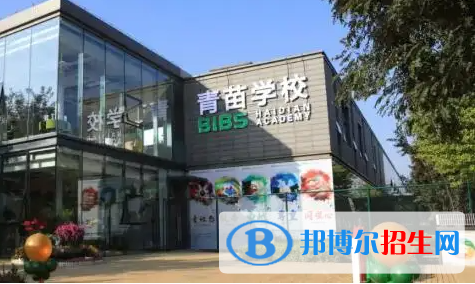 成都青苗國際雙語學校初中部2023年入學考試