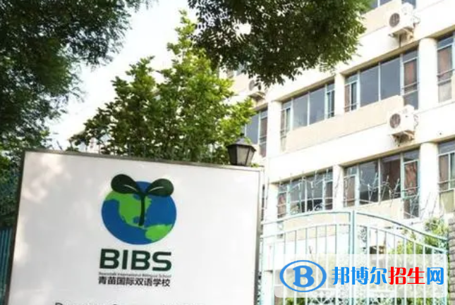 成都青苗國際雙語學校初中部2023年錄取分數(shù)線