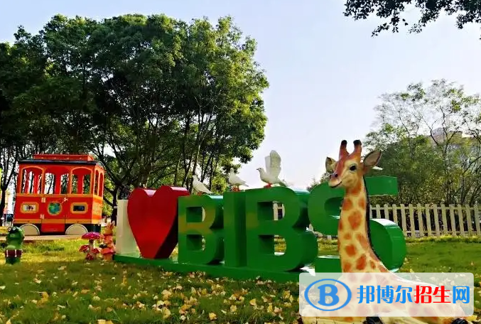 成都青苗國際雙語學(xué)校小學(xué)部2023年招生政策