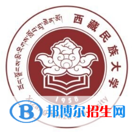 西藏民族大學(xué)藝術(shù)類專業(yè)有哪些？（藝術(shù)類專業(yè)）