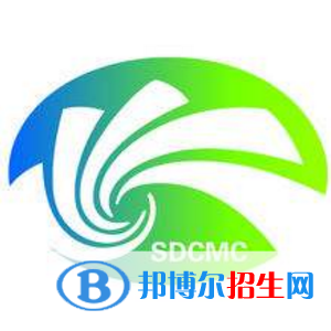 山東傳媒職業(yè)學(xué)院藝術(shù)類專業(yè)有哪些？（藝術(shù)類專業(yè)）