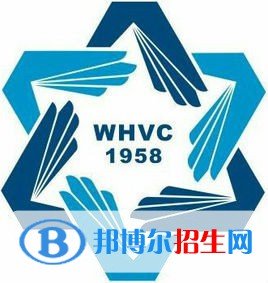 威海職業(yè)學(xué)院藝術(shù)類專業(yè)有哪些？（藝術(shù)類專業(yè)）