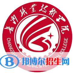 長沙職業(yè)技術(shù)學(xué)院藝術(shù)類專業(yè)有哪些？（藝術(shù)類專業(yè)）
