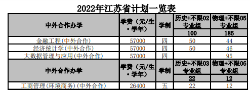 南京財(cái)經(jīng)大學(xué)中外合作辦學(xué)專業(yè)有哪些？