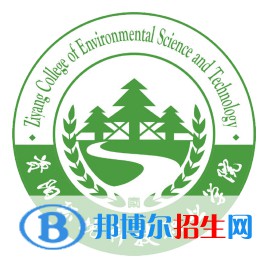 資陽環(huán)境科技職業(yè)學(xué)院藝術(shù)類專業(yè)有哪些？（藝術(shù)類專業(yè)）