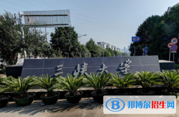 三峽大學(xué)藝術(shù)類(lèi)專(zhuān)業(yè)有哪些？（藝術(shù)類(lèi)專(zhuān)業(yè)）