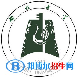 湖北大學(xué)藝術(shù)類專業(yè)有哪些？（藝術(shù)類專業(yè)）