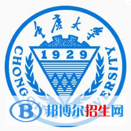 重慶大學(xué)藝術(shù)類專業(yè)有哪些？（藝術(shù)類專業(yè)）